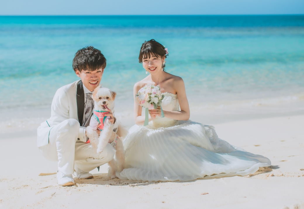 写真:ビーチでペットフォト