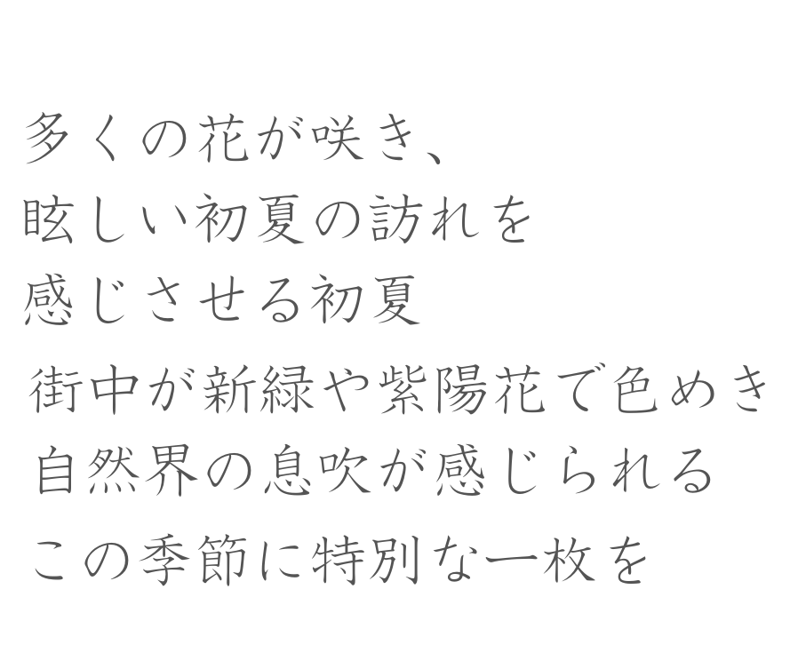 輝く太陽と澄んだ青空のもとで、おふたりらしさ溢れる撮影が叶います