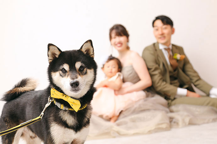 ペットフォト