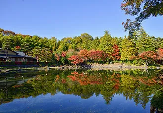 立川フォトサロン（相談専門）