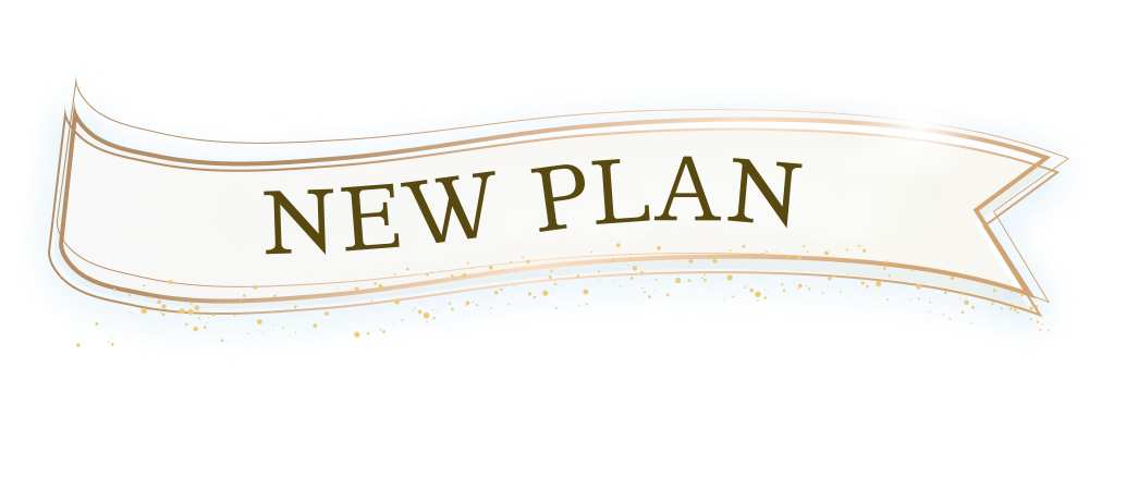 NEW PLAN
