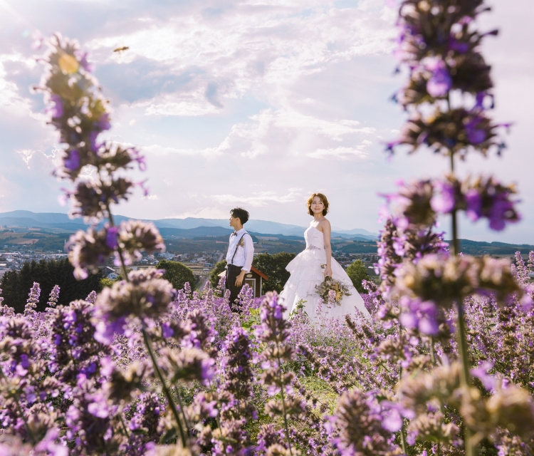 富良野 2ロケーション