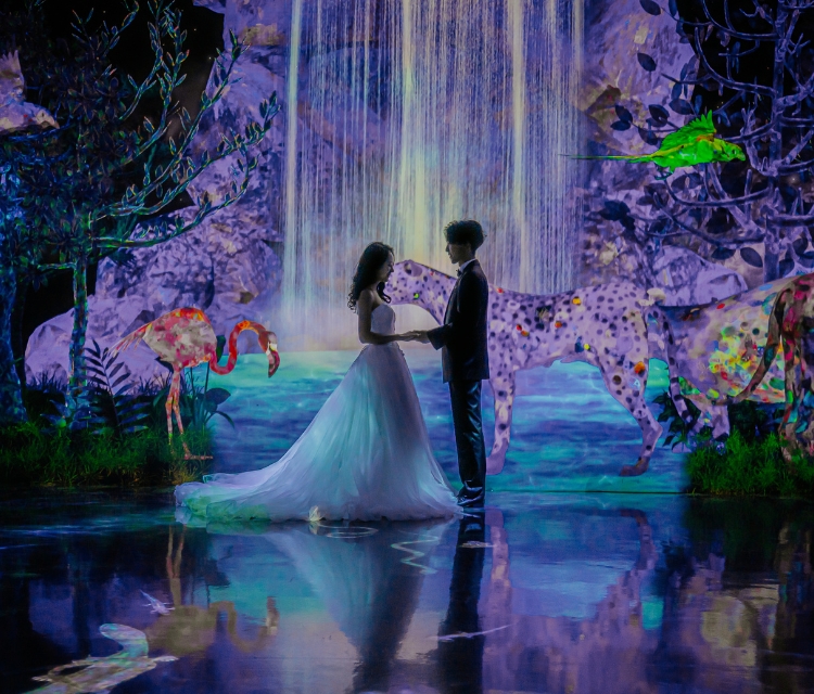 チームラボフォレスト福岡