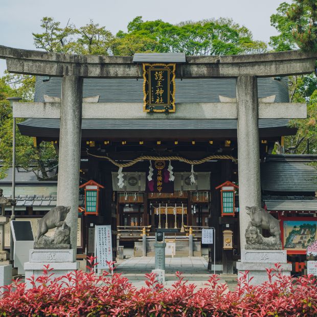 護王神社 フォトウェディング