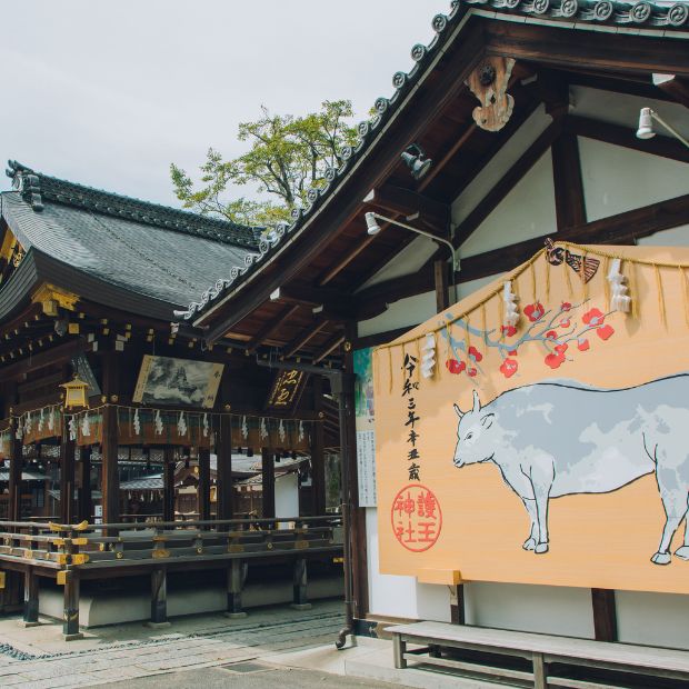 護王神社 フォトウェディング