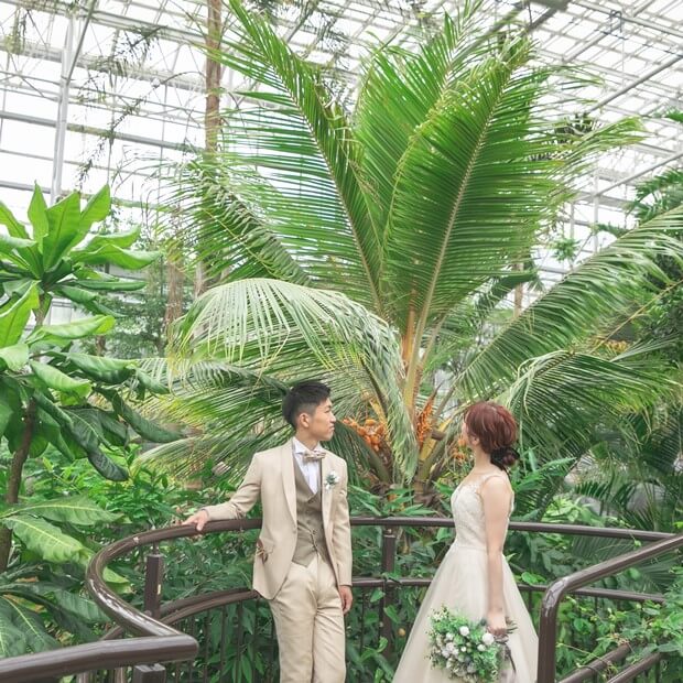 広島市植物公園 フォトウェディング