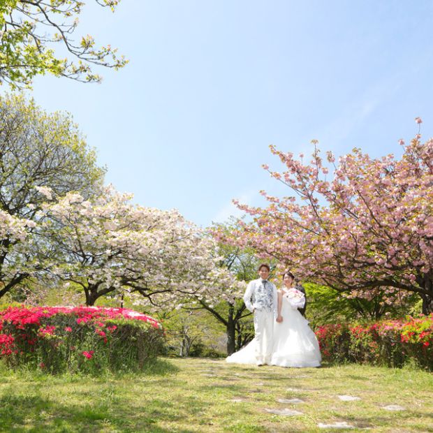 松山総合公園 フォトウェディング