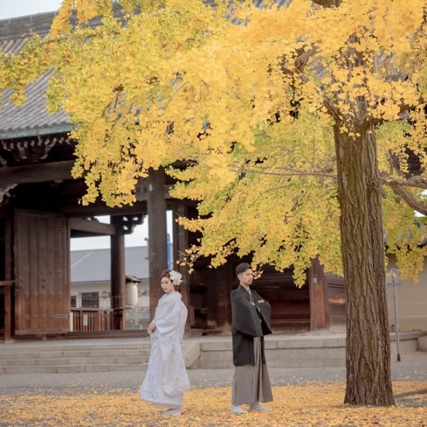 東寺 フォトウェディング