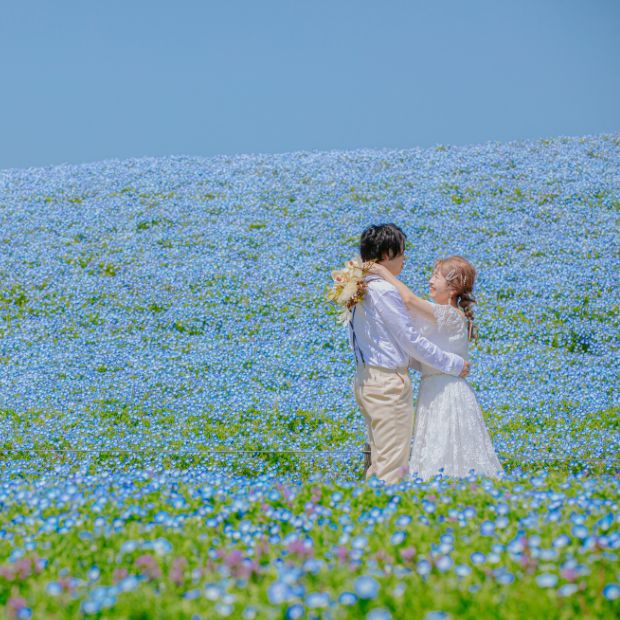 海の中道海浜公園 フォトウェディング