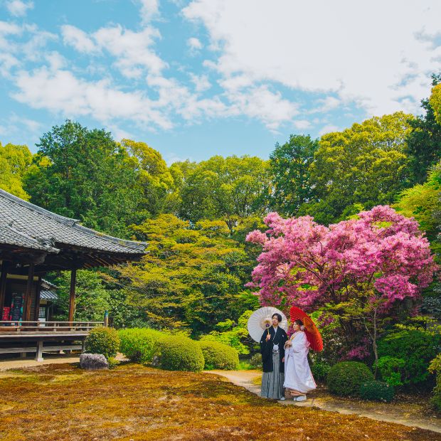 隨心院 フォトウェディング