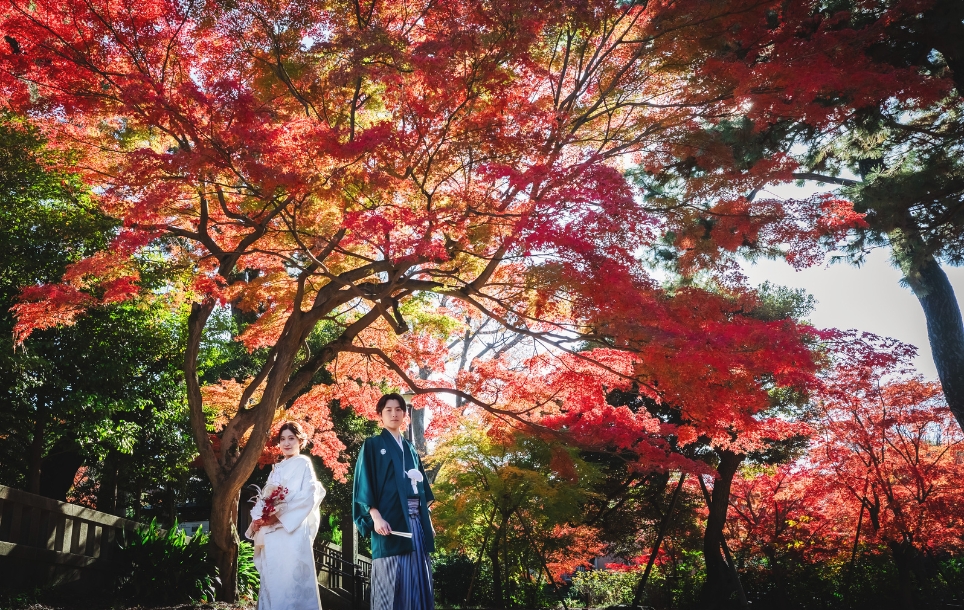 洗足池公園