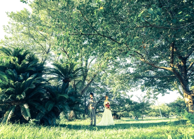 松山 フォトウェディング