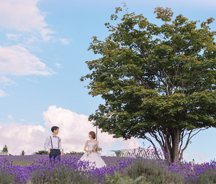 富良野・日の出公園 