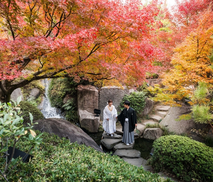 前撮り 目白庭園フォト 基本プラン