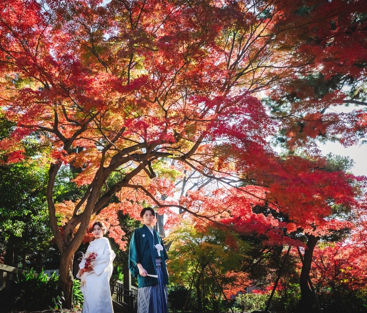 洗足池公園フォト　データプラン