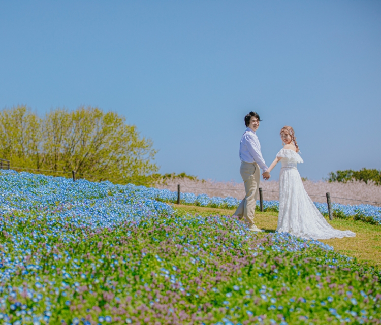 海の中道海浜公園フォト 基本プラン