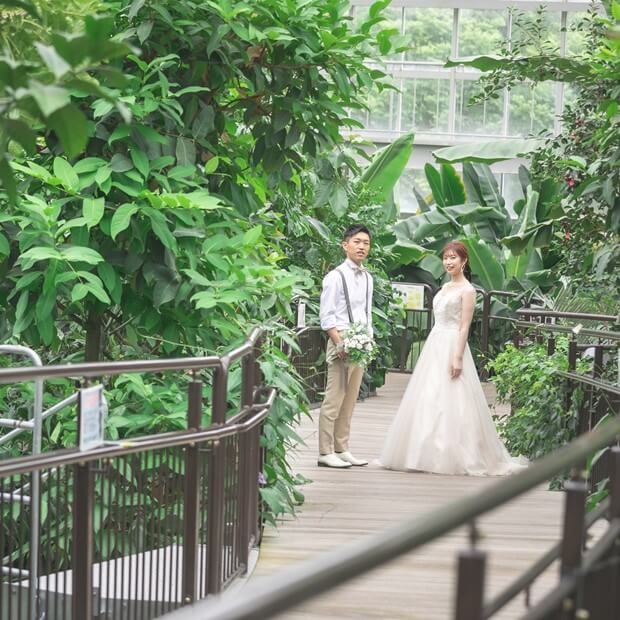 広島市植物公園フォト 基本プラン