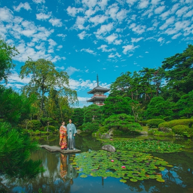 日本庭園（輪王寺）フォト データプラン