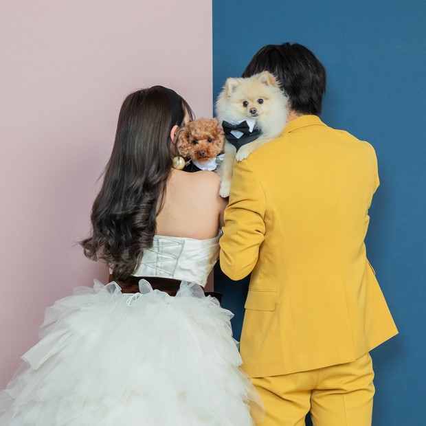 ペットフォト スタジオプラン