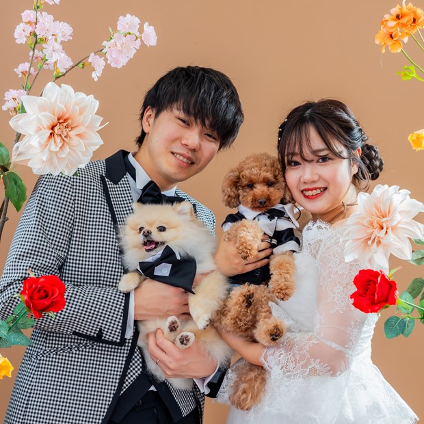 ペットフォト スタジオプラン