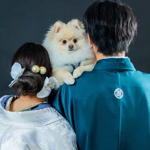 ペットフォト スタジオプラン
