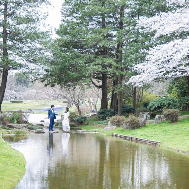 国営昭和記念公園フォト データプラン