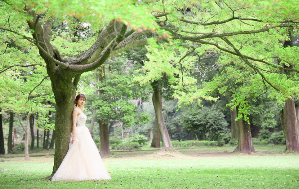 群馬の森 前撮り ドレス