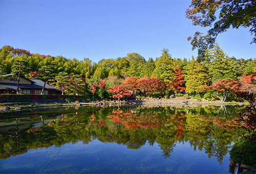 写真:立川フォトサロン(相談専門)