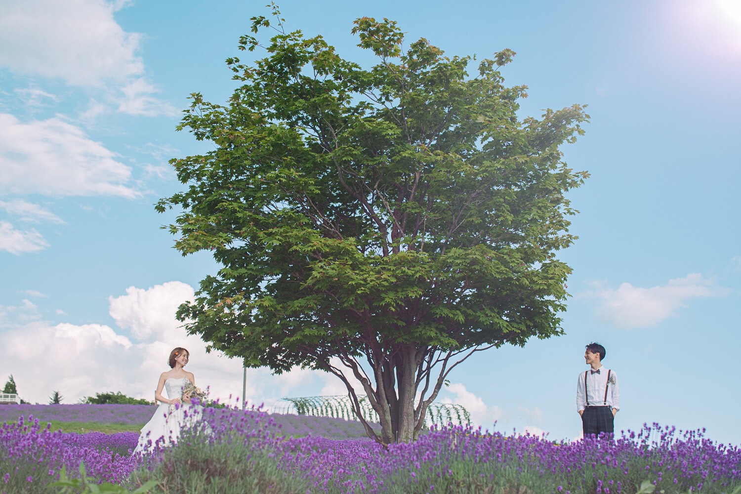 北海道フォトウェディング