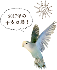 2017年の干支は鳥！