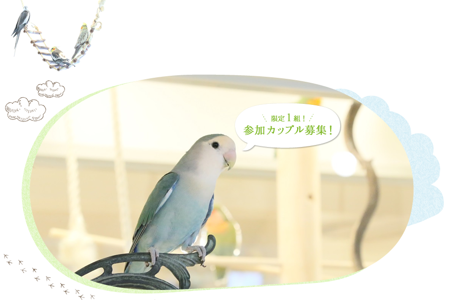 鳥ウェディングフォト 挙式 結婚式 ウェディングなら ワタベウェディング