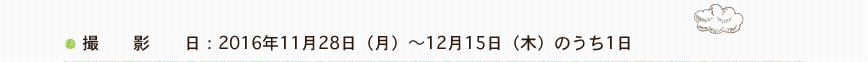 撮影日：2016年11月24日（木）～12月9日（金）のうち1日