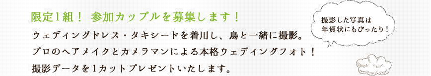 限定1組！参加カップルを募集します！ウェディングドレス・タキシードを着用し、鳥と一緒に撮影。プロのヘアメイクとカメラマンによる本格ウェディングフォト！撮影データを1カットプレゼントいたします。