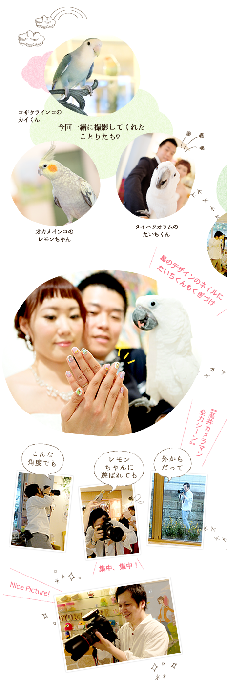 鳥ウェディングフォト 挙式 結婚式 ウェディングなら ワタベウェディング
