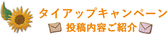 タイアップキャンペーン投稿内容ご紹介