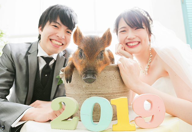 いのしし（うり坊）ウェディングフォト撮影当日の様子