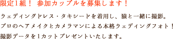 限定1組！参加カップルを募集します！ウェディングドレス・タキシードを着用し、猿と一緒に撮影。プロのヘアメイクとカメラマンによる本格ウェディングフォト！撮影データを1カットプレゼントいたします。　