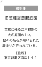 撮影地：旧芝離宮恩賜庭園　東京に残る江戸初期の大名庭園の1つ。 数々の名石が用いられた庭造りが行われている。 【住所】東京都港区海岸1-4-1 