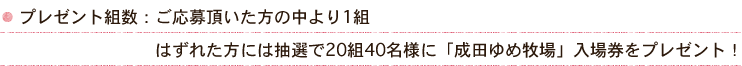 プレゼント組数：ご応募頂いた方の中より1組