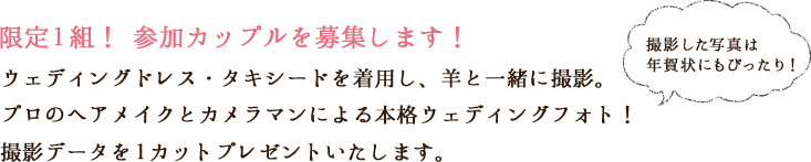 限定1組！参加カップルを募集します！ウェディングドレス・タキシードを着用し、羊と一緒に撮影。プロのヘアメイクとカメラマンによる本格ウェディングフォト！撮影データを1カットプレゼントいたします。