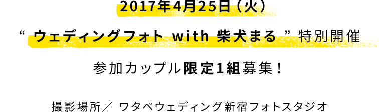 2017年4月25日（火）“ ウェディングフォト with 柴犬まる ” 特別開催参加カップル限定1組募集！撮影場所／ ワタベウェディング新宿フォトスタジオ