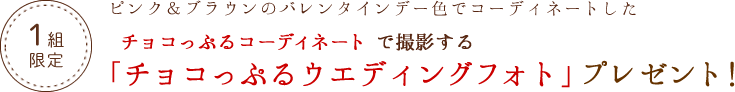 【1組限定】ピンク＆ブラウンのバレンタインデー色でコーディネートしたチョコっぷるコーディネートで撮影する「チョコっぷるウエディングフォト」プレゼント！
