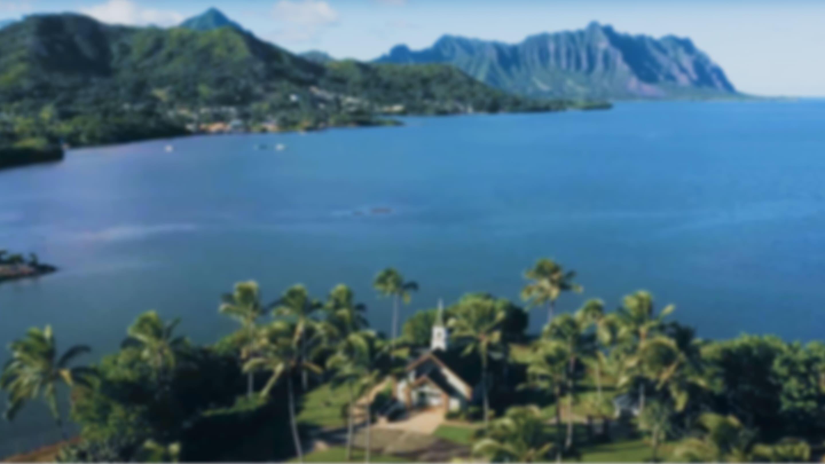 aw 本選権＃1】Best of HAWAIIAN wedding2025 決勝｜SHOWROOM