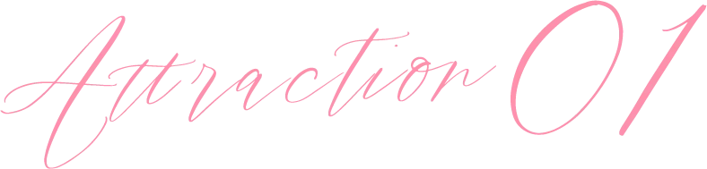 Attraction01