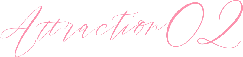 Attraction02