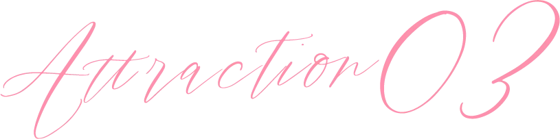 Attraction03