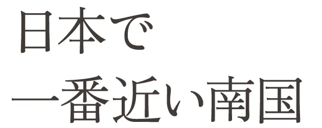 日本で一番近い南国