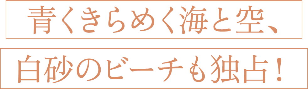 青くきらめく海と空、白砂のビーチも独占！