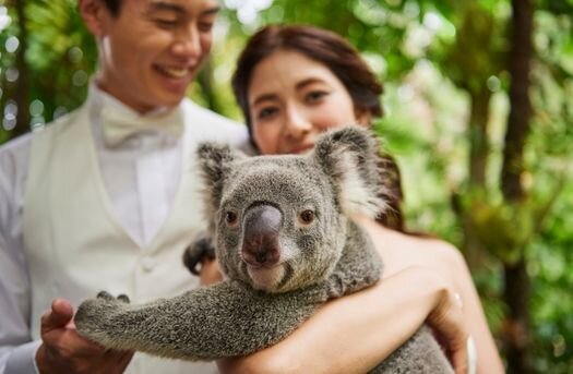 ウェディングフォト