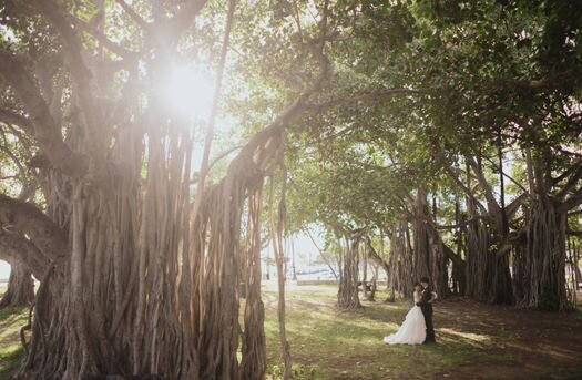 プレミアムなウェディングフォト